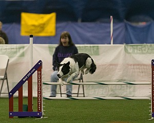 20150321-LEAP-0446.jpg