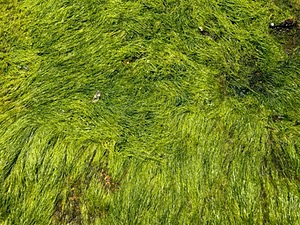 20180707-0041.jpg