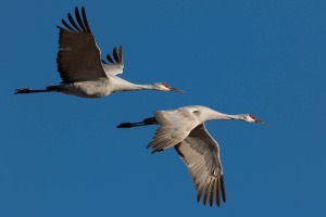 20151206-3567.jpg