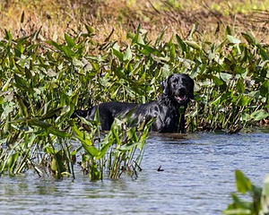 20160924-SHW-0049.jpg