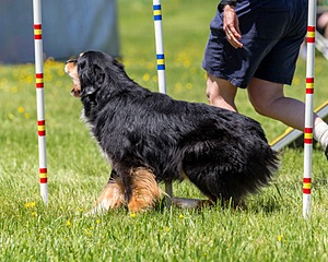 20170520-NEAT-1505.jpg