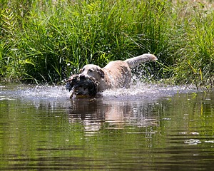 20130714-MHB2-0021.jpg