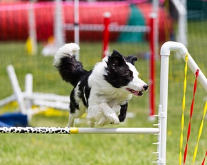 20160515-NEAT-1216.jpg