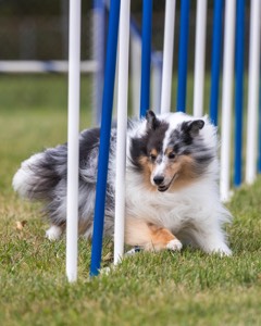 20200819-2094.jpg