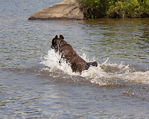 20080601-SRW-0008.jpg