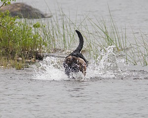 20080531-HRW-0567.jpg