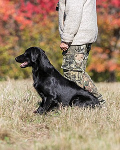 Hunter