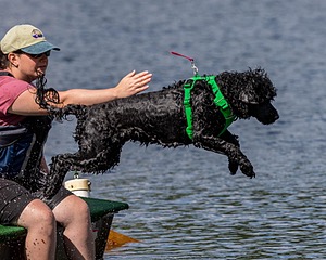 20170820-CWD-0070.jpg
