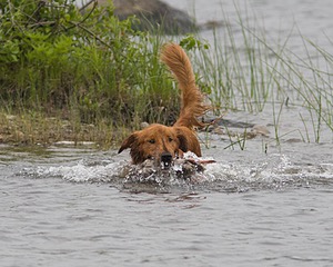 20080531-HRW-0769.jpg
