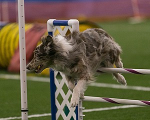 20150321-LEAP-0318.jpg