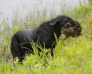 20080531-HRW-0142.jpg