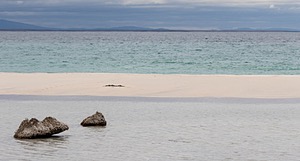 20191214-0394.jpg