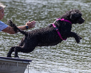 Tango Abbruzzese