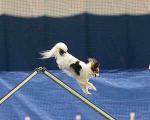 20150321-LEAP-1643.jpg