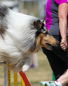 20150614-CCKC-1720.jpg