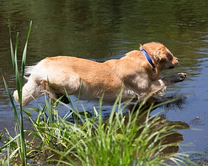 20130601-SHRW-0048.jpg