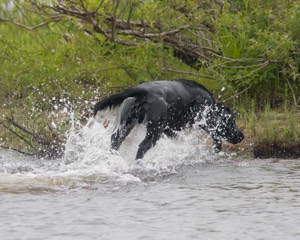 20080531-HRW-1042.jpg