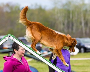 Nixie O'Connell