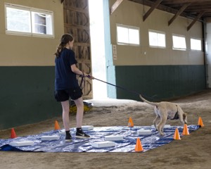 20260718-NSKC-0176.jpg
