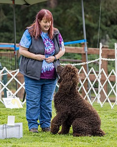 2401 - CAT'S' RUSTY CHARLIE RI CGC TKA (Dugan)