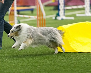 20150322-LEAP-0182.jpg