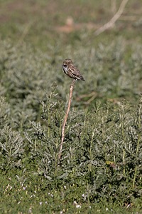 20200618-1841.jpg