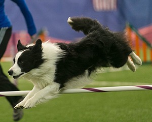 20150321-LEAP-0945.jpg
