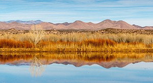 20151210-0539.jpg