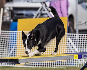 20230916-PVKC-1628.jpg
