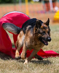 20150613-CCKC-0304.jpg
