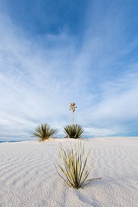 20151209-0136.jpg