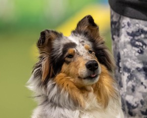20260221-C-0011.jpg