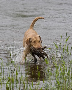 20080531-HRW-0048.jpg