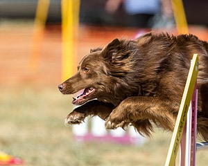 20160619-CCKC-1784.jpg