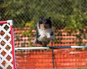 20200819-2613.jpg