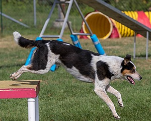 20200819-0696.jpg