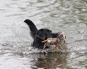 20080531-HRW-0512.jpg