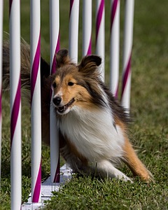 20230916-PVKC-1145.jpg
