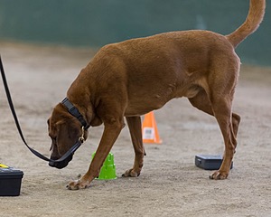 20260718-NSKC-0581.jpg