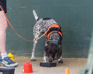 20260718-NSKC-0658.jpg