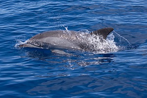 20250623-2965.jpg