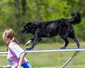20170520-NEAT-1476.jpg