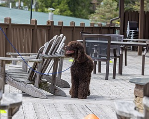 20260513-SC-0050.jpg