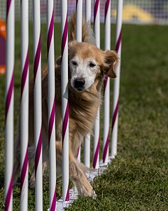 20230916-PVKC-1191.jpg