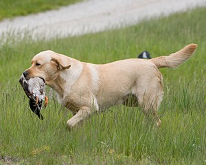 20080531-HRL-0405.jpg