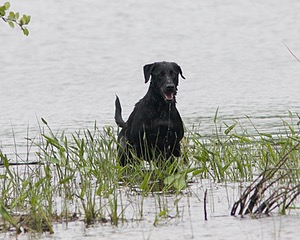 20080531-HRW-0805.jpg