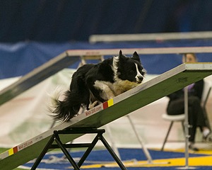 20150321-LEAP-1478.jpg
