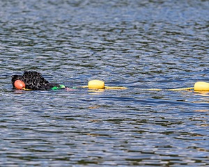 20170820-CWD-0081.jpg