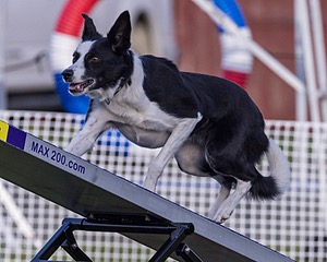 20230916-PVKC-1747.jpg