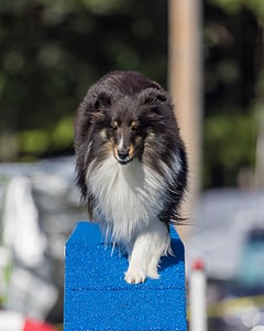 Winnie Klinkowski